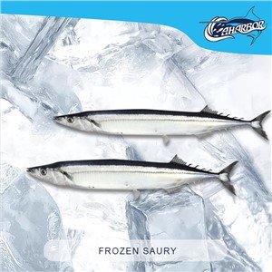 Šaldytas Ramiojo vandenyno Saury