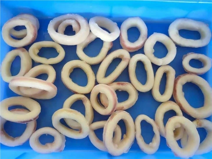 Ring squid
