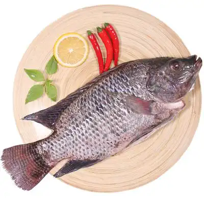 Pagrindiniai Tilapijos pranašumai