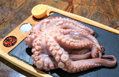 Cephalopod Market Overview (2024–2025): Squid, Cuttlefish, And Octopus